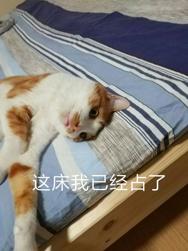 葛优躺